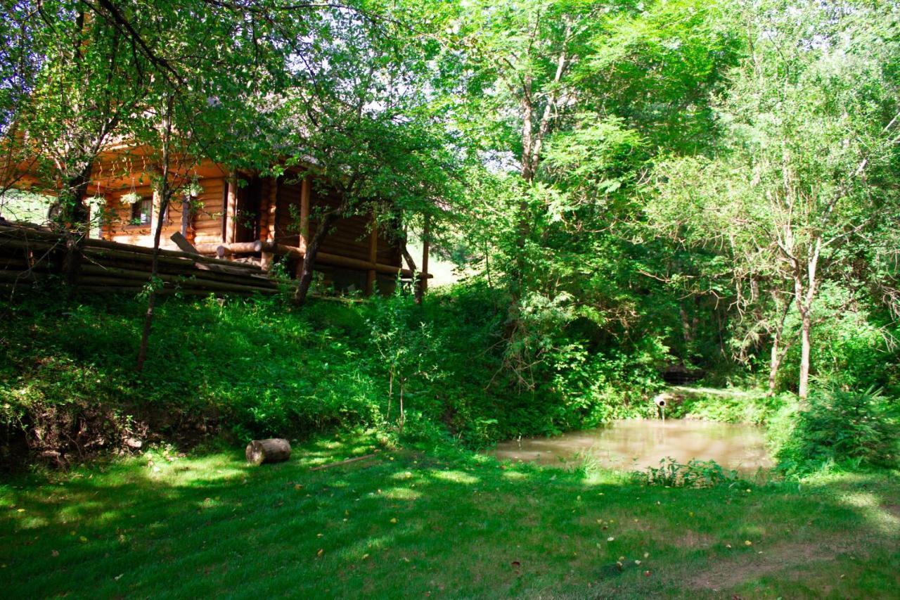 Villa Тихий Куточок Izki Esterno foto