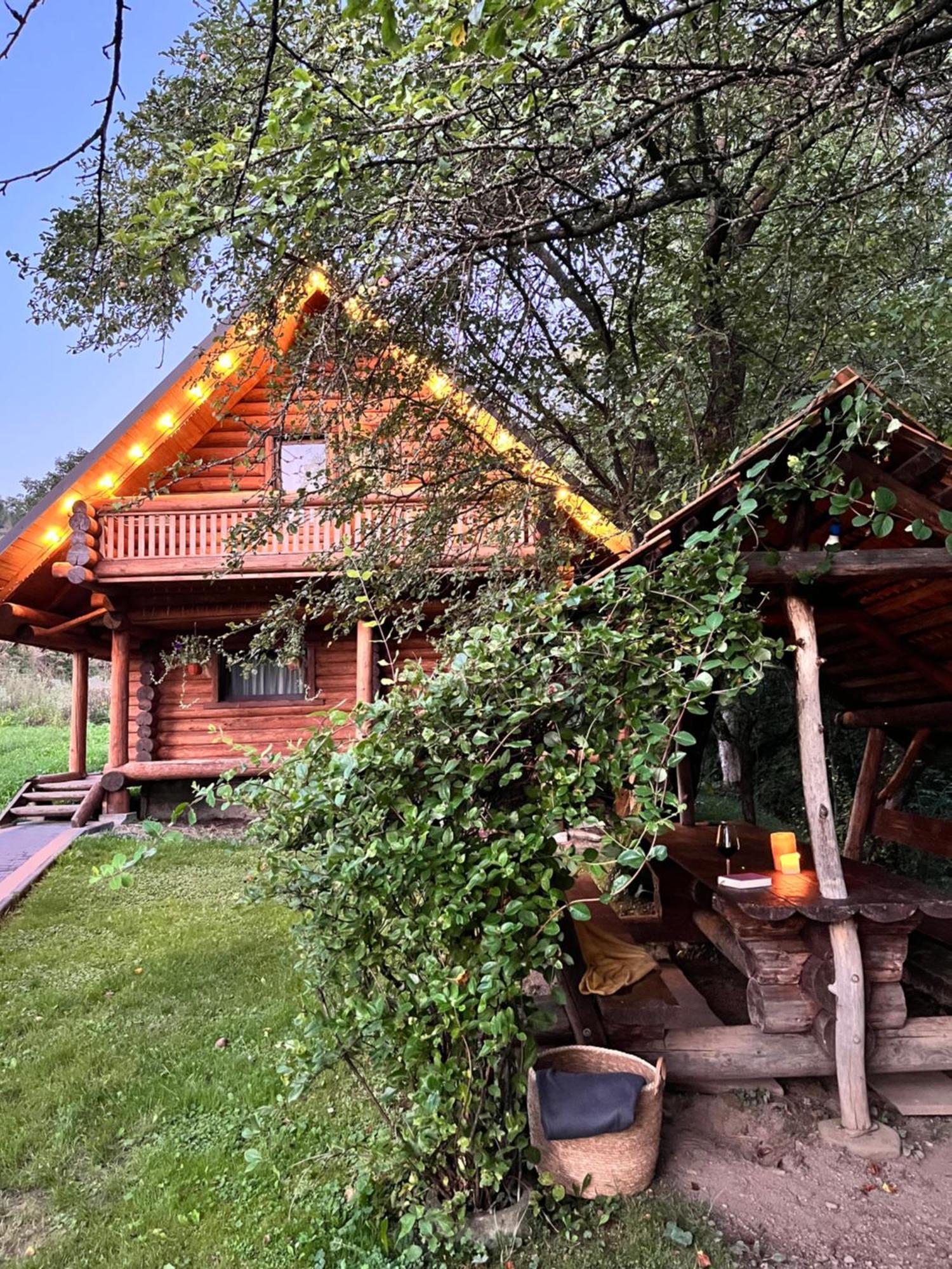 Villa Тихий Куточок Izki Esterno foto